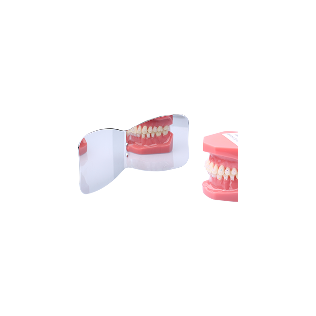 Occlusal + Buccal Mirror