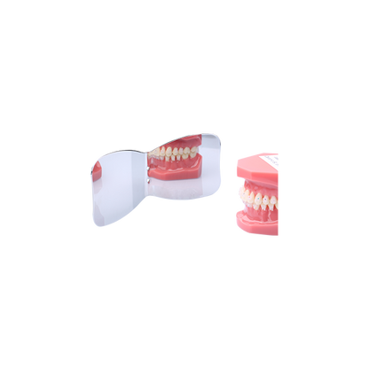 Occlusal + Buccal Mirror