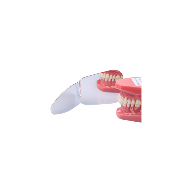 Occlusal + Buccal Mirror