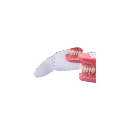 Occlusal + Buccal Mirror