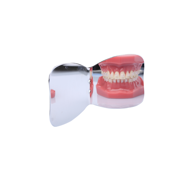 Occlusal + Buccal Mirror