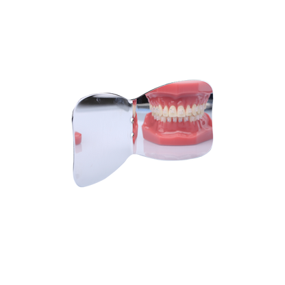 Occlusal + Buccal Mirror